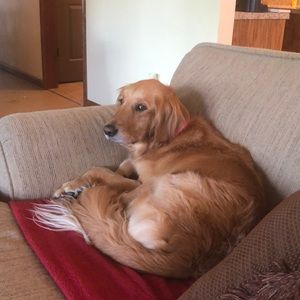 Meet your Posher, Heather